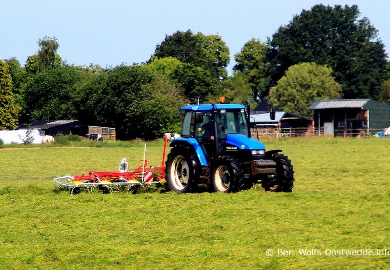 BERT -06-26 Hooi schudden aan de 1e Barlagerweg. Foto: Bert Wolfs Onstwedde.info