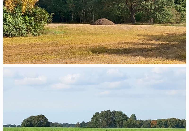 06-10-26 Valgweg. Foto: Roelie Knigge Onstwedde.info