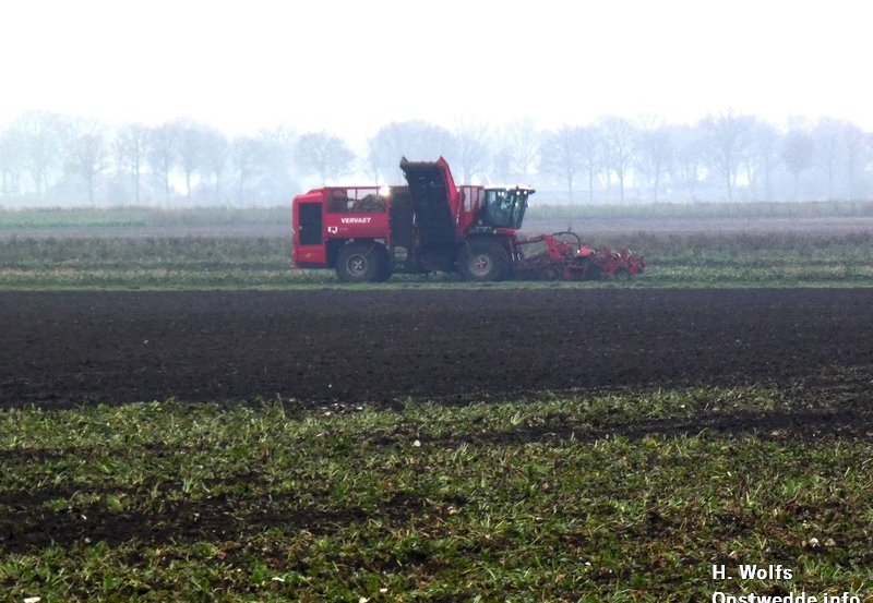 06-12-25 Bieten rooien aan het Kanaaldijk. Foto: H. Wolfs Onstwedde.info