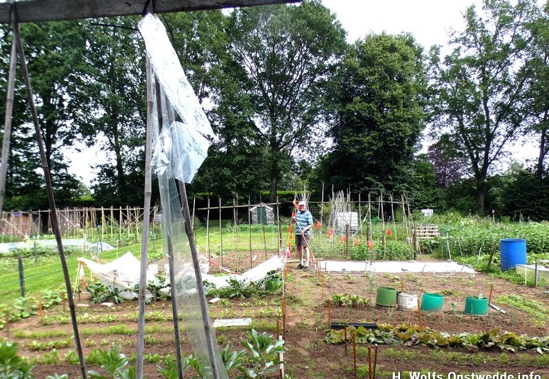 09-06 26 Bé Maims in de volkstoene. Foto: H. Wolfs Onstwedde.info