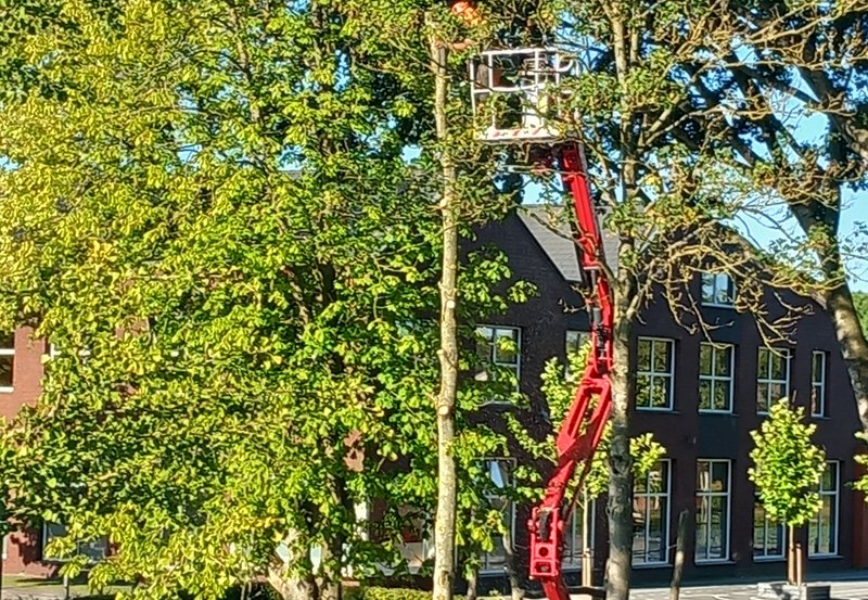 14-08-26 Bij MFA De Bast zijn ze aan het snoeien. Foto: Onstwedde.info