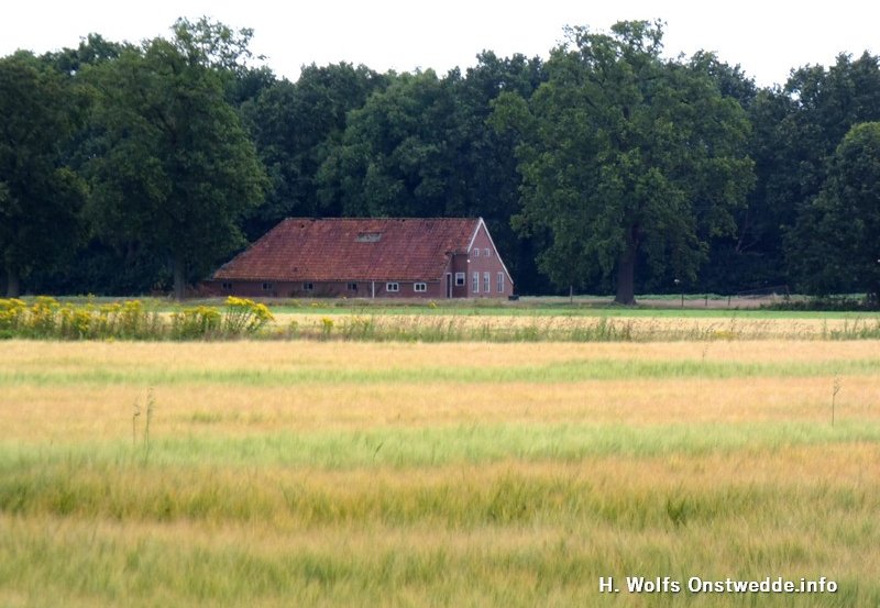07-07-26 Huisje op´t Hutplak. Het allerlaatste huis aan t' Knaoldiek. Foto: H. Wolfs Onstwedde.info