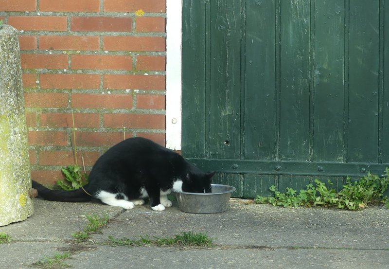 24-10-25 Tijd voor een maal. Foto: Magdalena