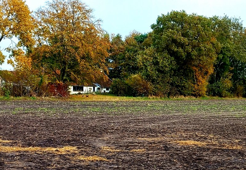 13-11-25 Kunstschilders woning aan de Esweg. Foto: Roelie Knigge Onstwedde.info
