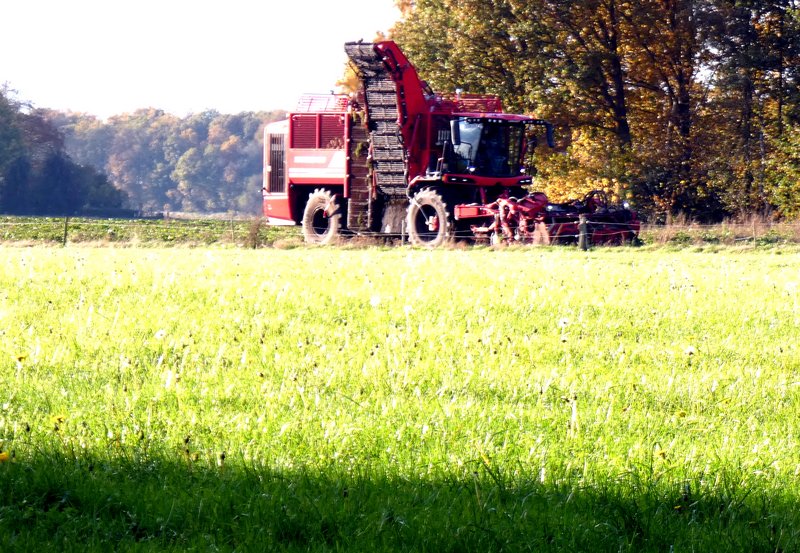 06-11-25 Bietenrooien aan de Duinweg. Foto: H. Wolfs Onstwedde.info