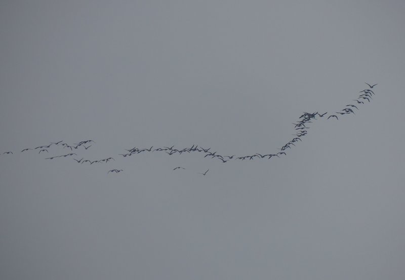 03-12-25 Vanaf de Roege Baarg gekiekt. Foto: Magdalena