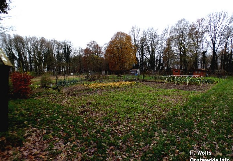 09-12-25 De volkstuinen aan de Ganskampen in rusttoestand. Foto : H. Wolfs Onstwedde.info