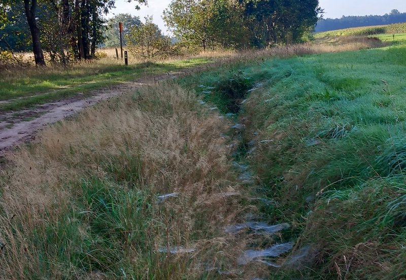 23-09-26 Stobkeweg. Foto: Roelie Knigge Onstwedde info