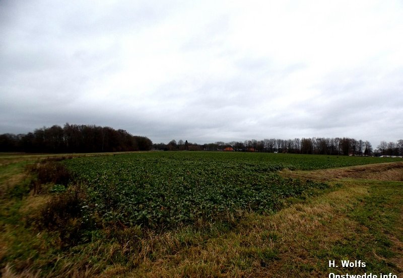 10-12-25 De suikerbieten zijn nog niet allemaal gerooid zoals hier aan het Pagediep. Foto: H. Wolfs Onstwedde.info