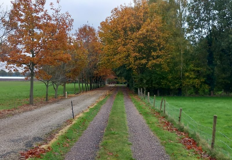 30-10-25 Oprijlaan aan de Hardingstraat. Foto: Roelie Knigge Onstwedde.info
