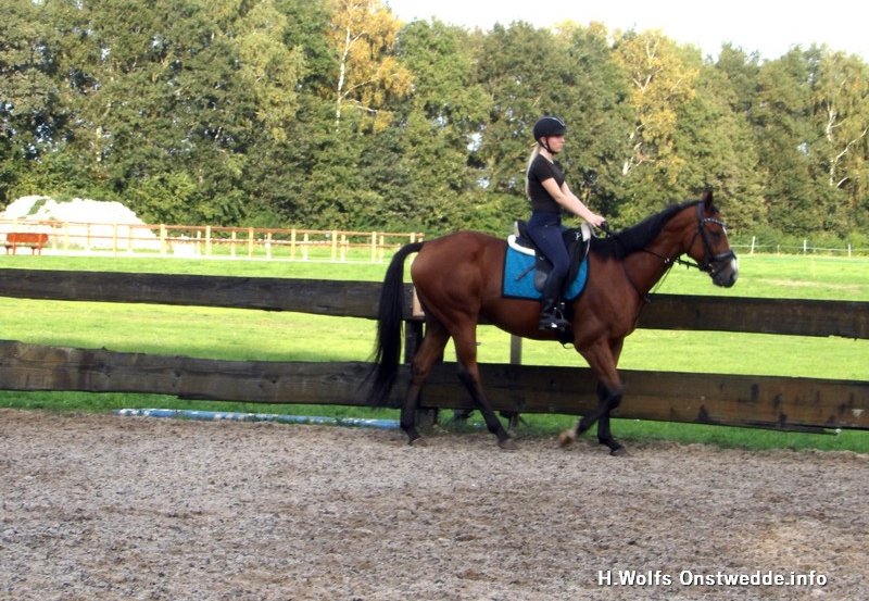 30-09-26 Paardrijlessen bij de manege onder mooie weersomstandigheden. Foto: H. Wolfs Onstwedde.info
