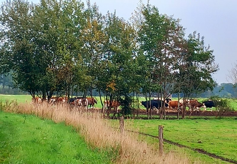 02-10-26 Ter Wupping Foto: Roelie Knigge Onstwedde.info