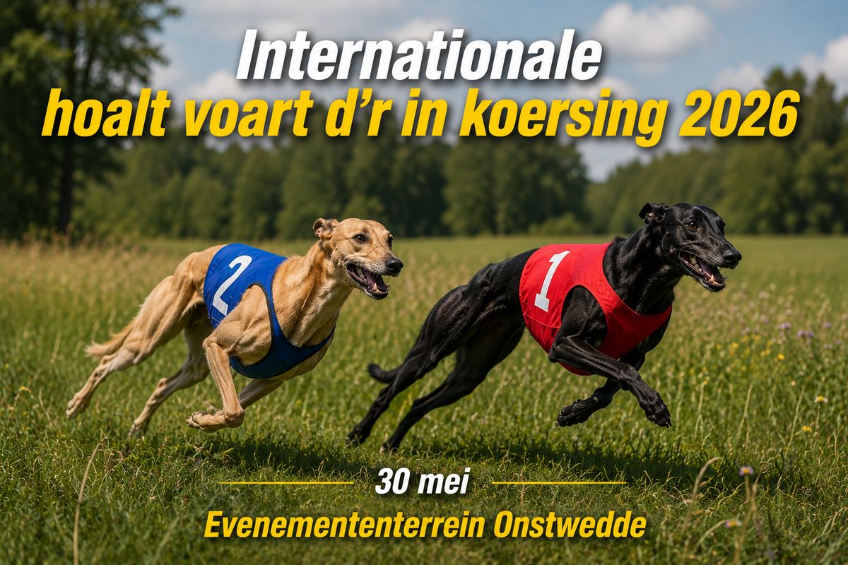 Internationale hoalt voart t’rin Koersing 30 mei 2026