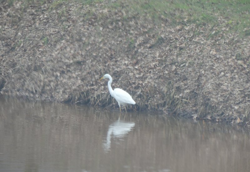 20-02-26 Twee maal in het Musselkanaal. Foto: Magdalena