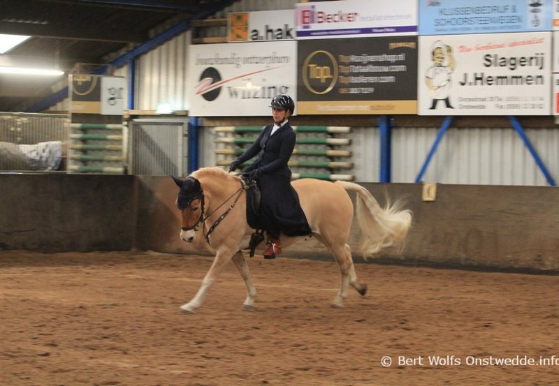 06-12-25 Working Equitation Wedstrijd in manege De Driesporen. Foto: Bert Wolfs Onstwedde.info