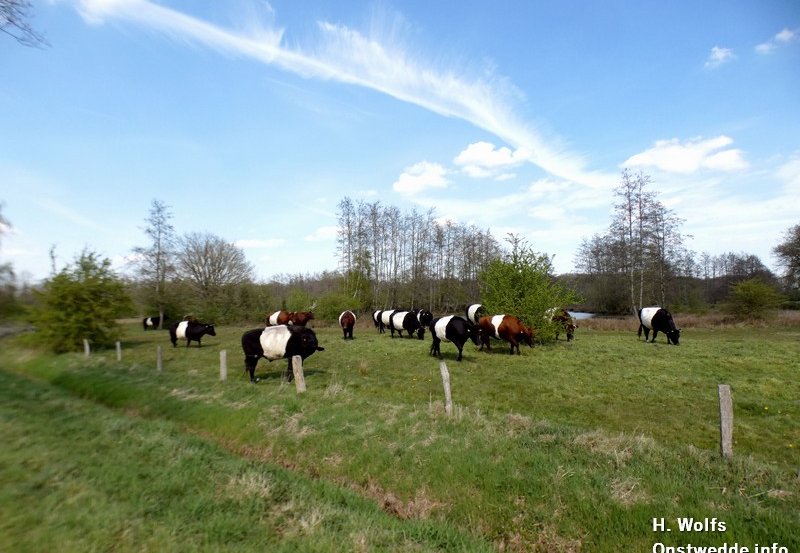 16-04-26 Lakenvelders in Smeerling genieten van het mooie weer. Foto: H. Wolfs Onstwedde.info