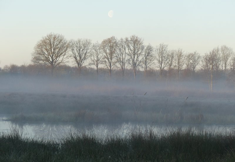 09-04-26 Ochtendnevel boven de dobbe. Foto: Magdalena