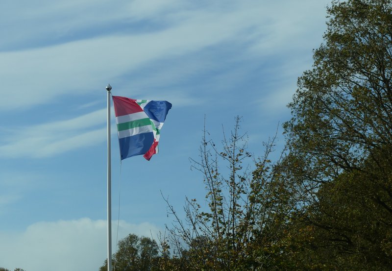 24-10-25 Benjamin is nog niet uitgewaaid. Foto: Magdalena