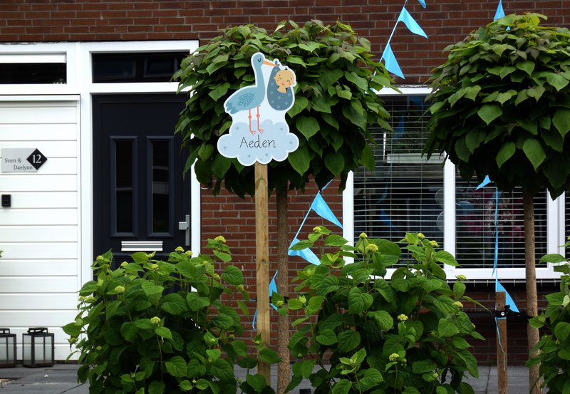 03-06-26 Er is een zoon geboren in de Boelslaan 12. Foto: Onstwedde.info