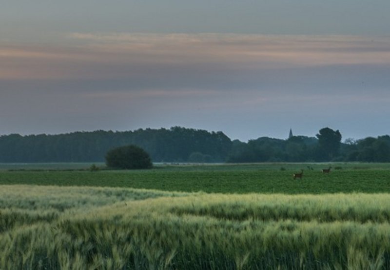 01-06-26 Geert Schreuder heeft een nieuwe omslagfoto gemaakt voor de facebookpagina van Onstwedde.info