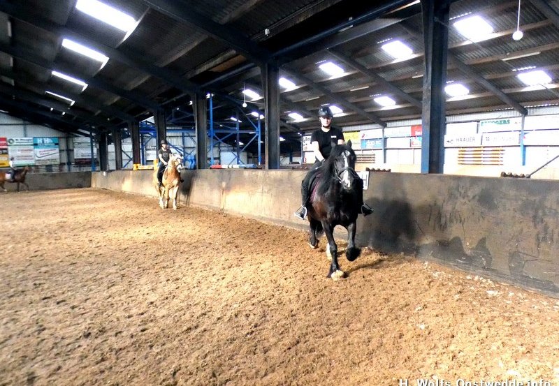 11-06-26 Paardrijlessen in de manege. Foto: H. Wolfs Onstwedde.info