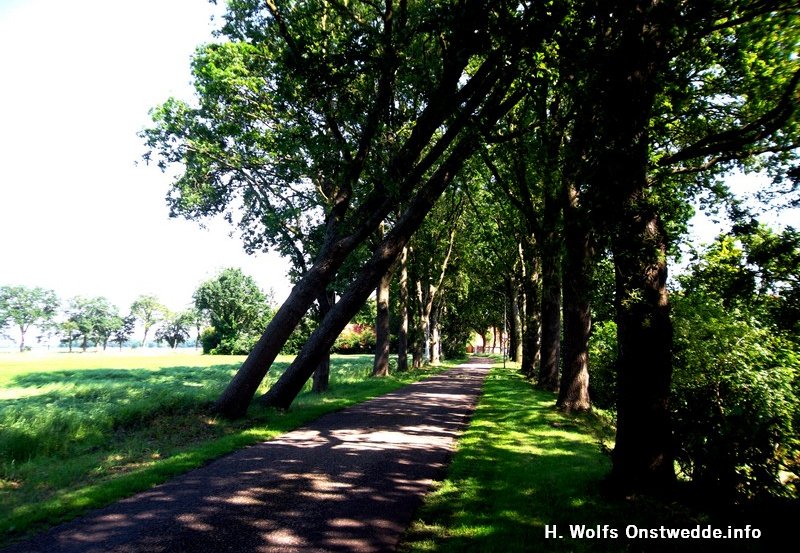 20-06-26 Stormschade aan de Markeweg. Foto: H. Wolfs Onstwedde .info