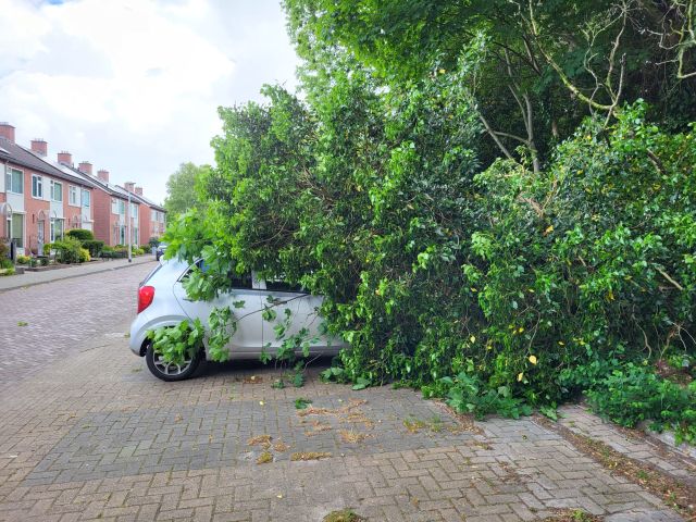 Auto bedolven onder boom/struik aan de Olde Hof in Onstwedde