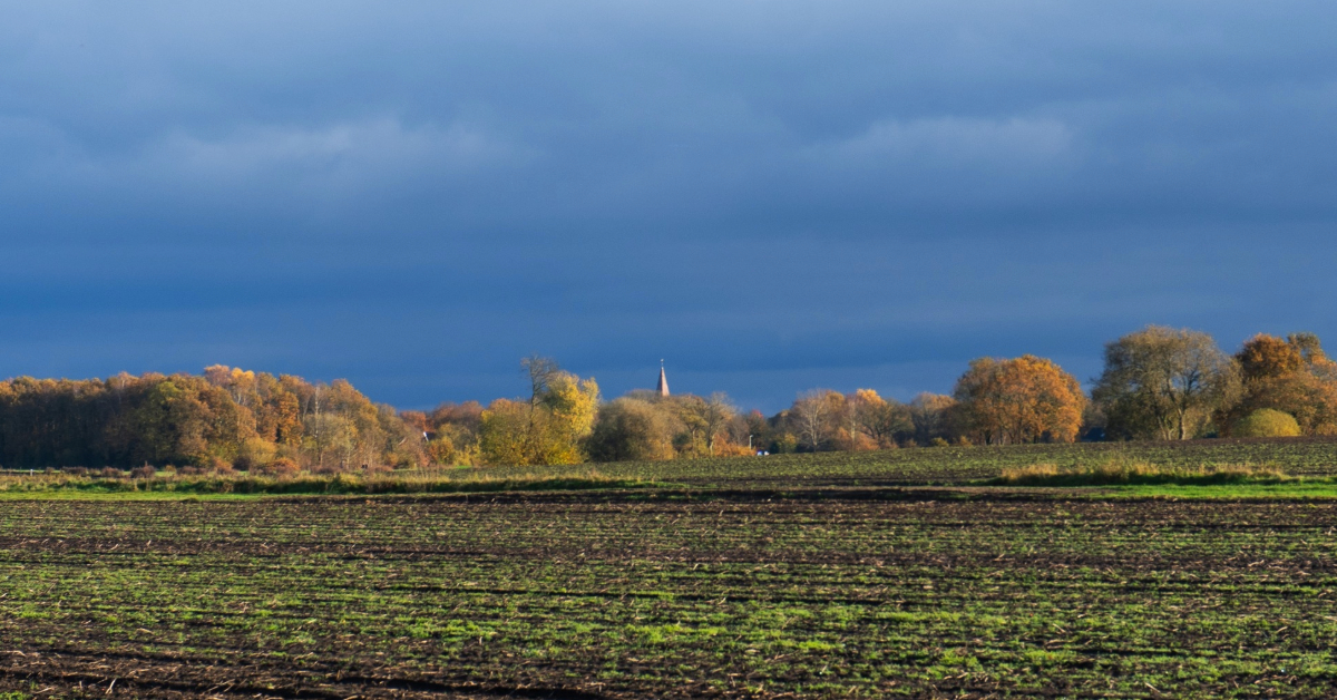 Dank jullie wel! 4.000 Volgers voor Onstwedde.info