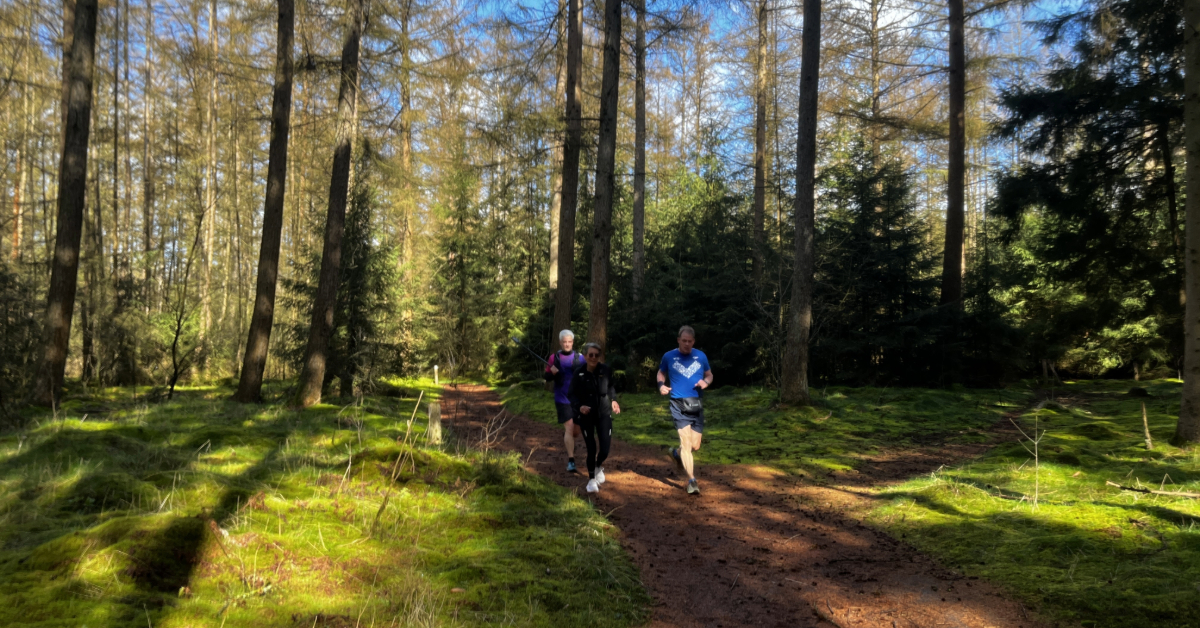 Westerwolde Ultra hardlopen ook langs Onstwedde