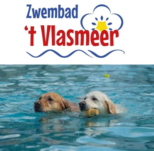 Zwemmen voor honden in zwembad 't Vlasmeer 6 september