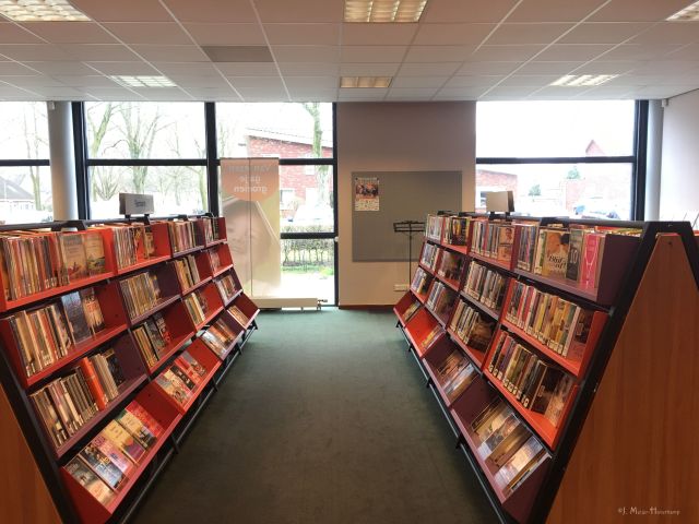De bibliotheek en de Schrijfworkshop