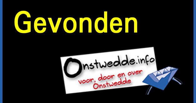 Sieraad, inclusief doosje gevonden in Onstwedde