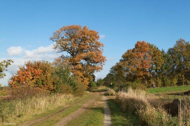 Foto-wedstrijd: Mooiste boom van Westerwolde