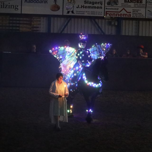 Manege De Driesporen viert 55-jarig jubileum in volle manege met betoverende show 'Droomvlucht te Pa