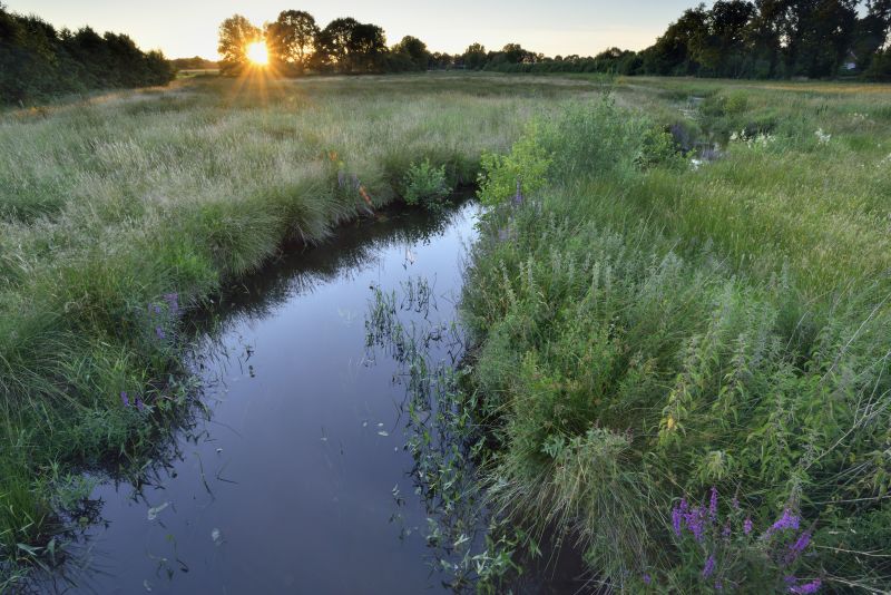 Vroege vogels rondom Smeerling op zaterdag 11 april