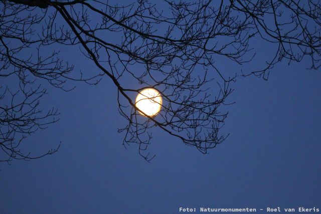 Volle maanwandeling in Smeerling op 5 december