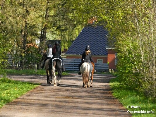 Voorjaar in je bol rit manege De Driesporen 20 april