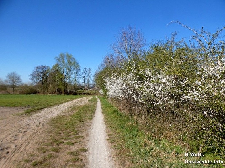 Boswachterspad Ter Wupping: het geheim van klein