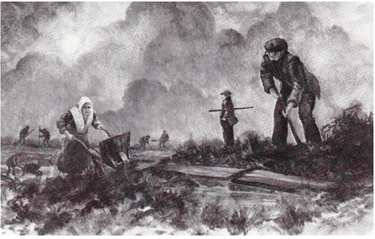 De Timpeners: model voor familieboeken??