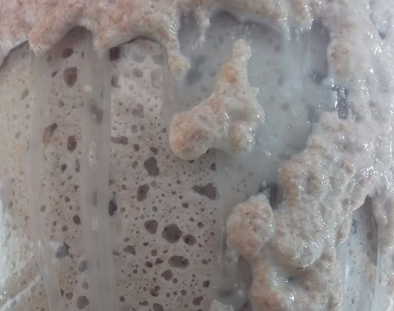 Nieuwe workshop bij Desembakker Elly