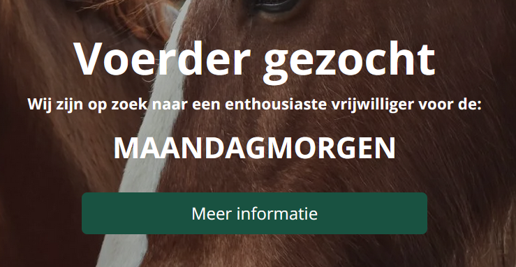 De Driesporen zoekt een voerder voor de maandagmorgen
